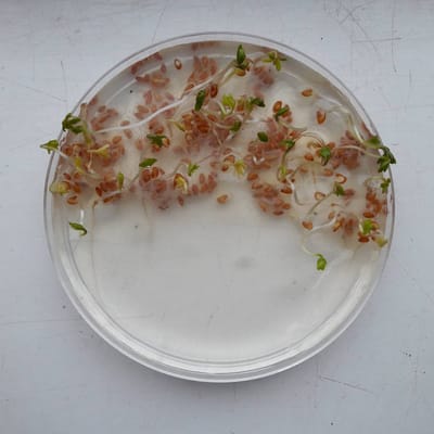 Artist talk with Brett Lockwood image