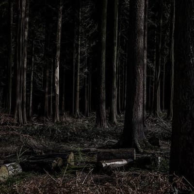 Artist talk with Brett Lockwood image