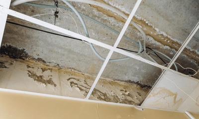 Why Do You Need Slab Leak Detection Services to Repair Slab Leak Issues At Your Home?