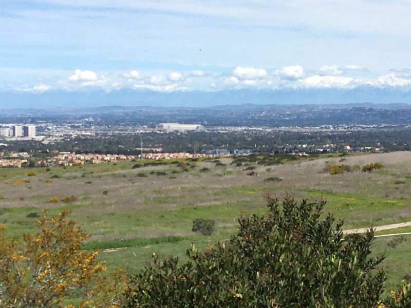 Q4 2020 Orange County Industrial Real Estate Market Report