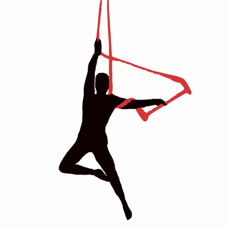 Aerial Trapeze