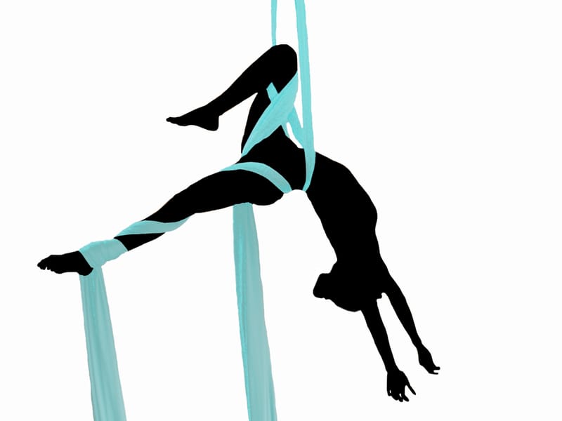 Aerial silks