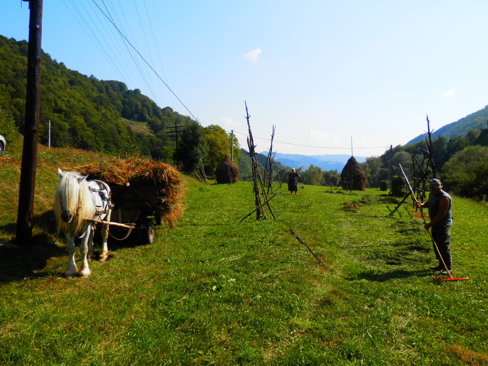 The Countryside, Maramures County