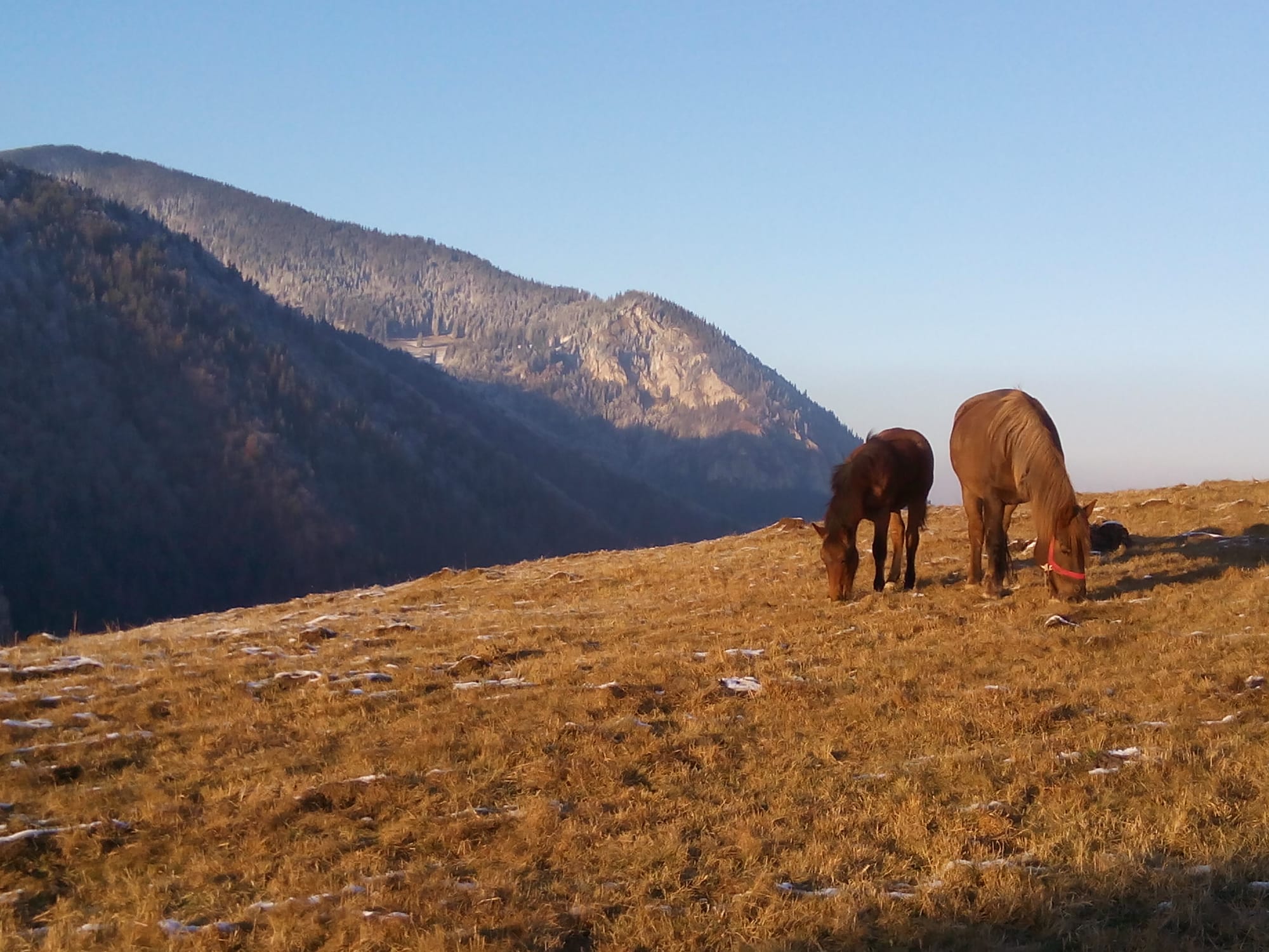 Somewhere in the Carpathians