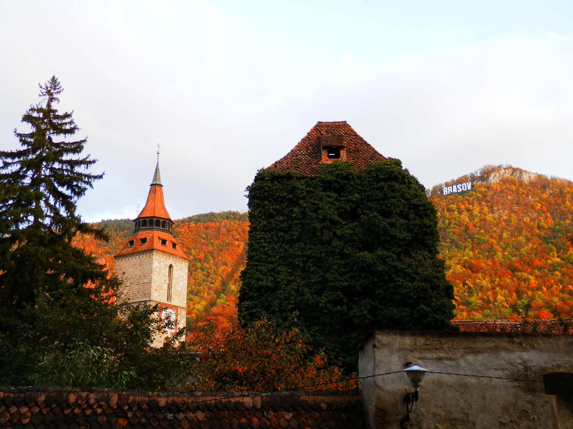 Brasov