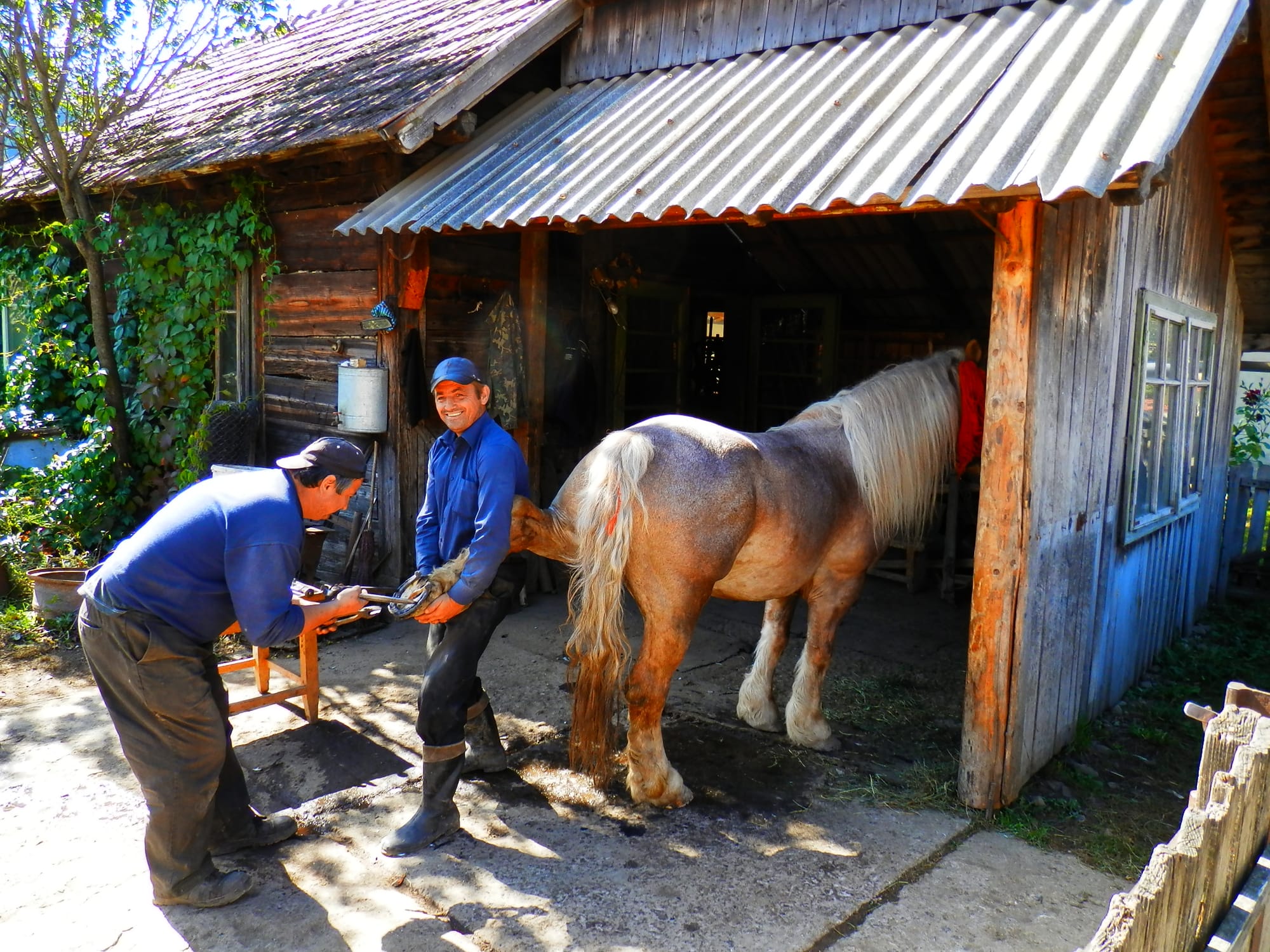 Shoeing a Horse, Bucovina