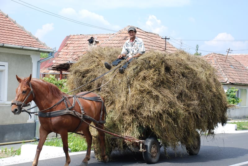 BEST OF ROMANIA