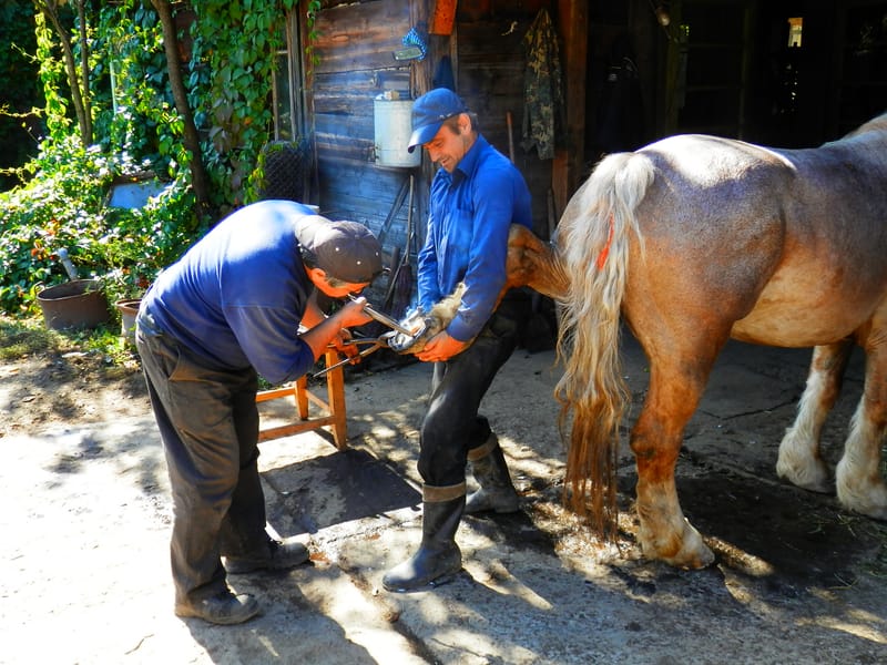 AT SLOW PACE IN ROMANIA