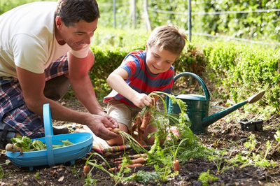 Some Compelling Reasons to Start a Home Garden