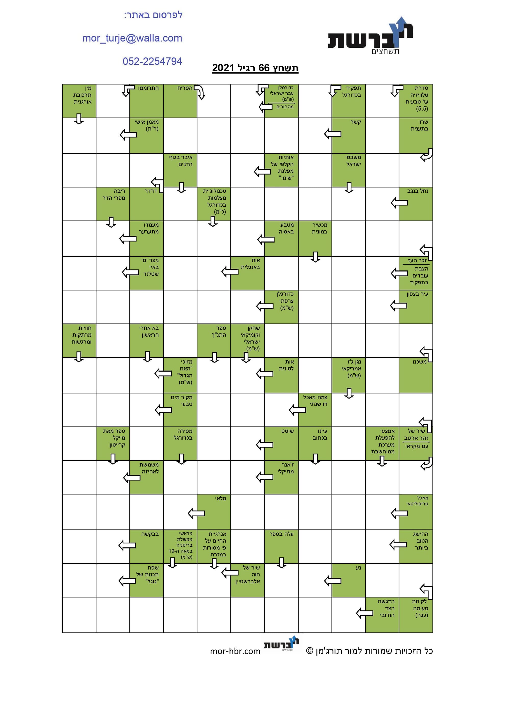 תשחץ 66 רגיל 2021
