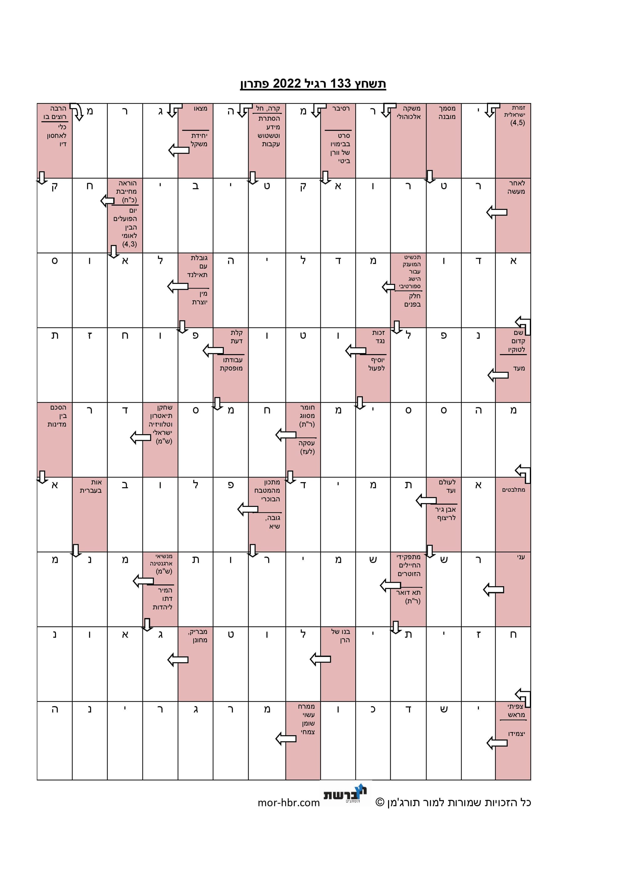 תשחץ 133 רגיל 2022 פתרון