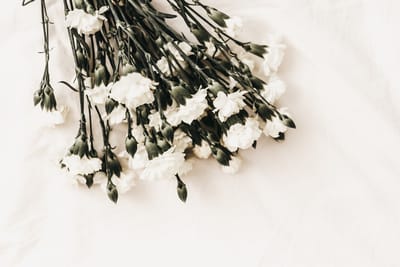 Cremation 3 image
