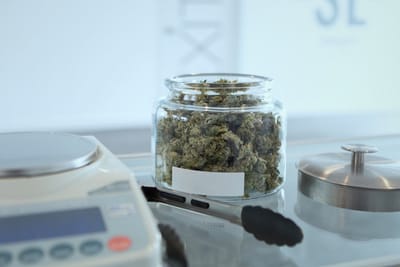 Cannabis dispensary 3 image