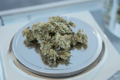 Cannabis dispensary 4 image