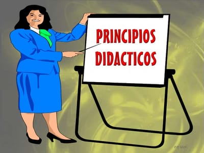 PRINCIPIOS DIDÁCTICOS