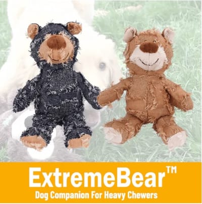 Pawz Vista Reviews: What They w'not Tell You?