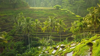 Bali Tour Package is Affordable and Comes with the Services of Driver Guide!