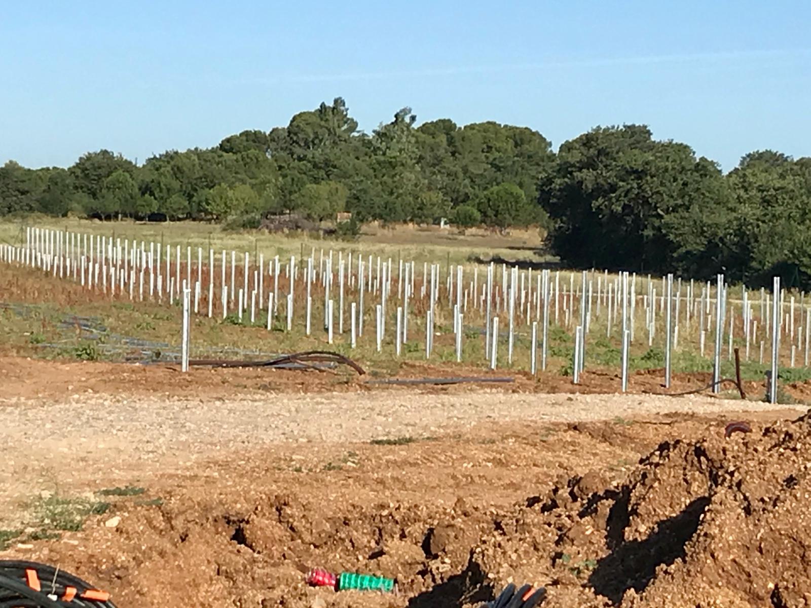 Instalación Fotovoltaica 50 MW · Beziers (Francia)