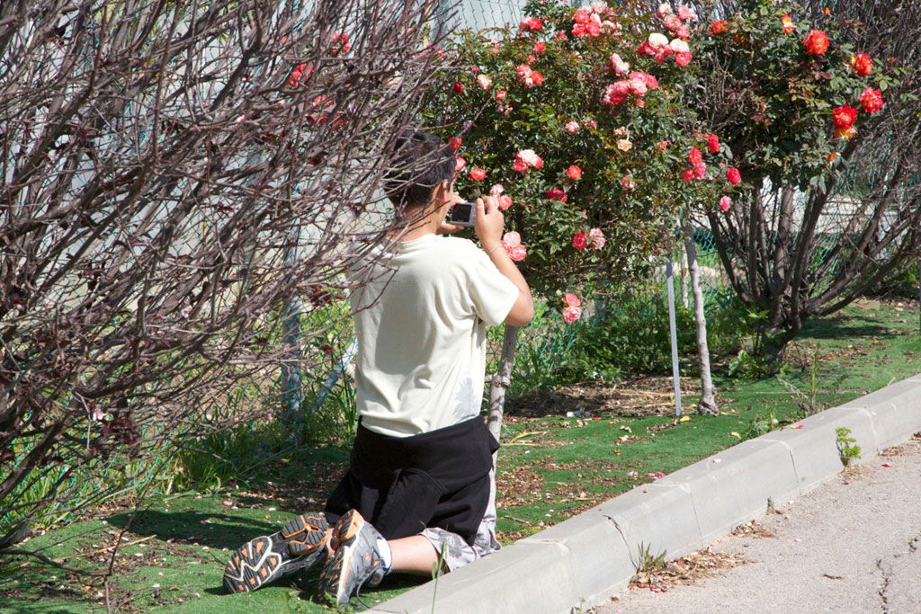 Light-   Photography club in the special needs education, 2012