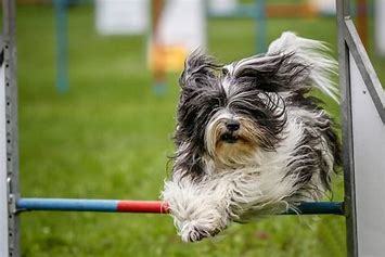 A savoir avant de se lancer dans l'aventure