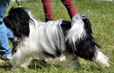 Thinley - Leh from Heaven’s Earth