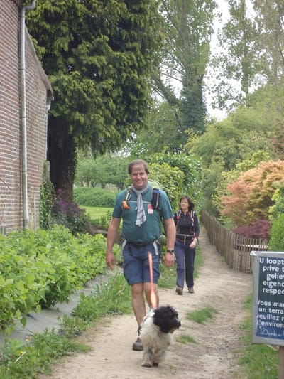 Le terrier tibétain - un grand sportif