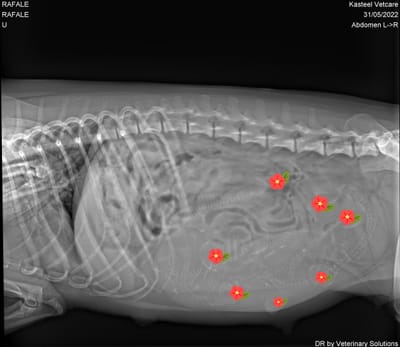 On se fait une beauté - arrivée imminente.