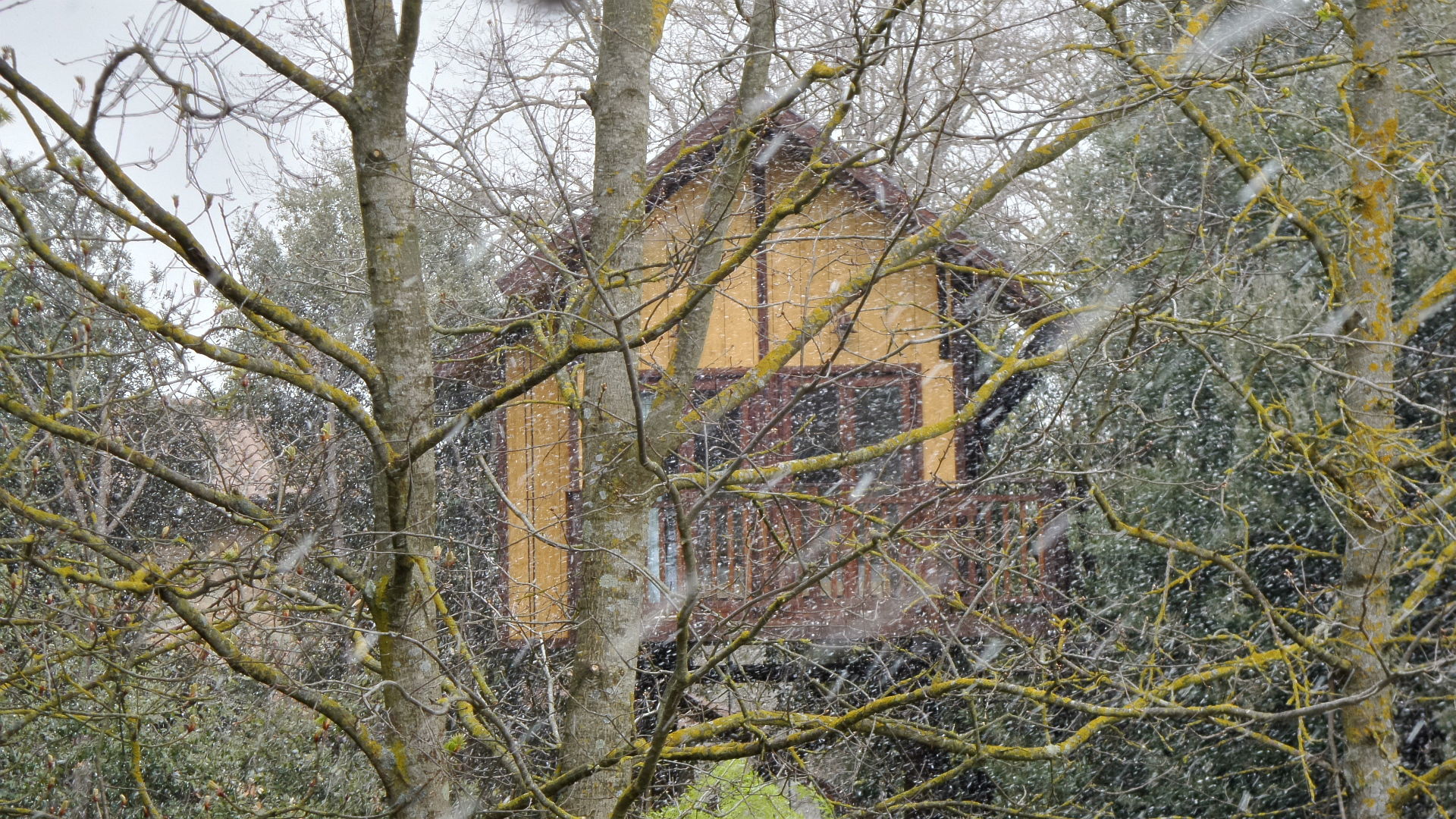 Casa sull'Albero Awen