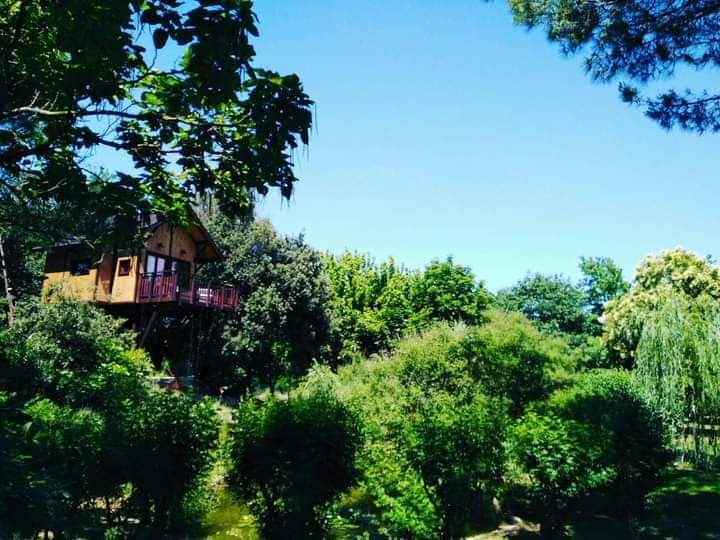 Casa sull'Albero Awen, in Umbria