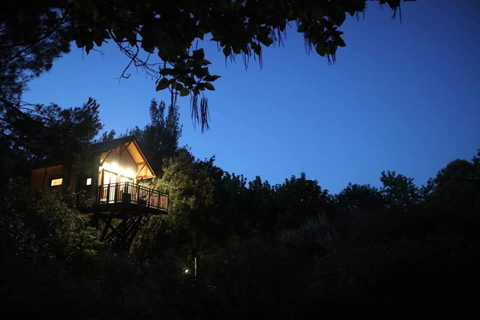 Casa sull'Albero Awen | Umbria