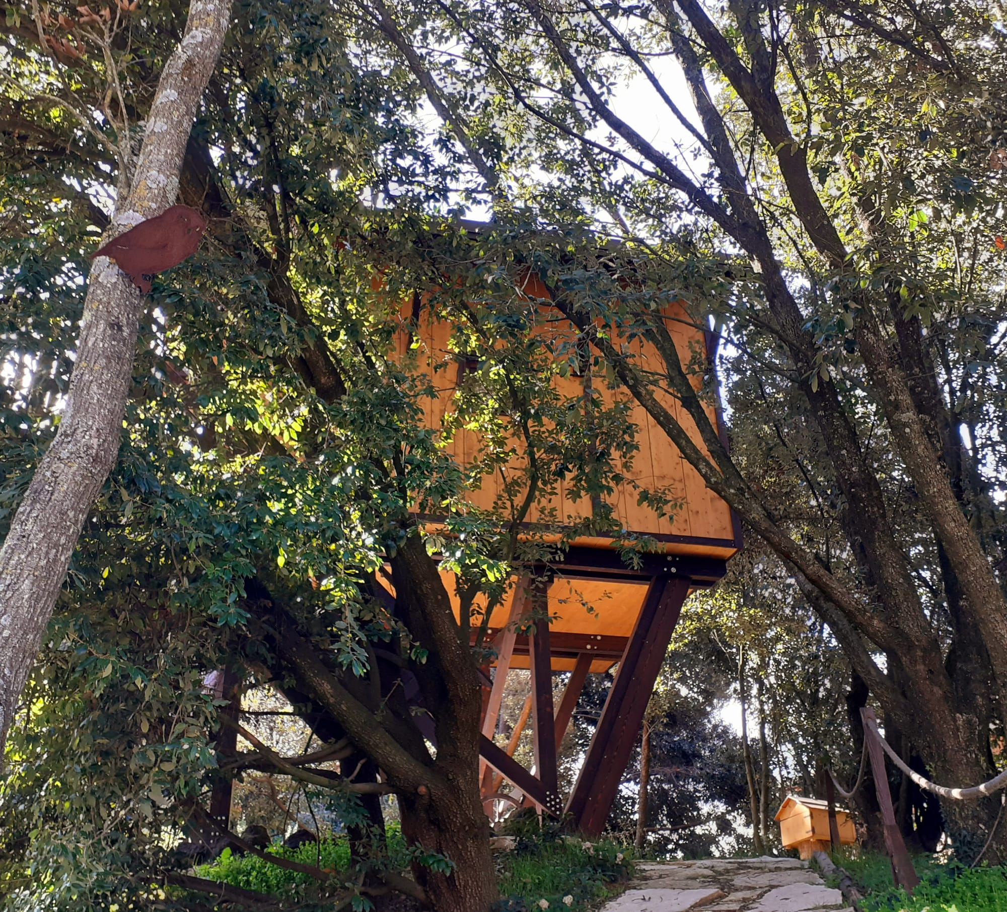 Casa sull'Albero Awen | lago Trasimeno