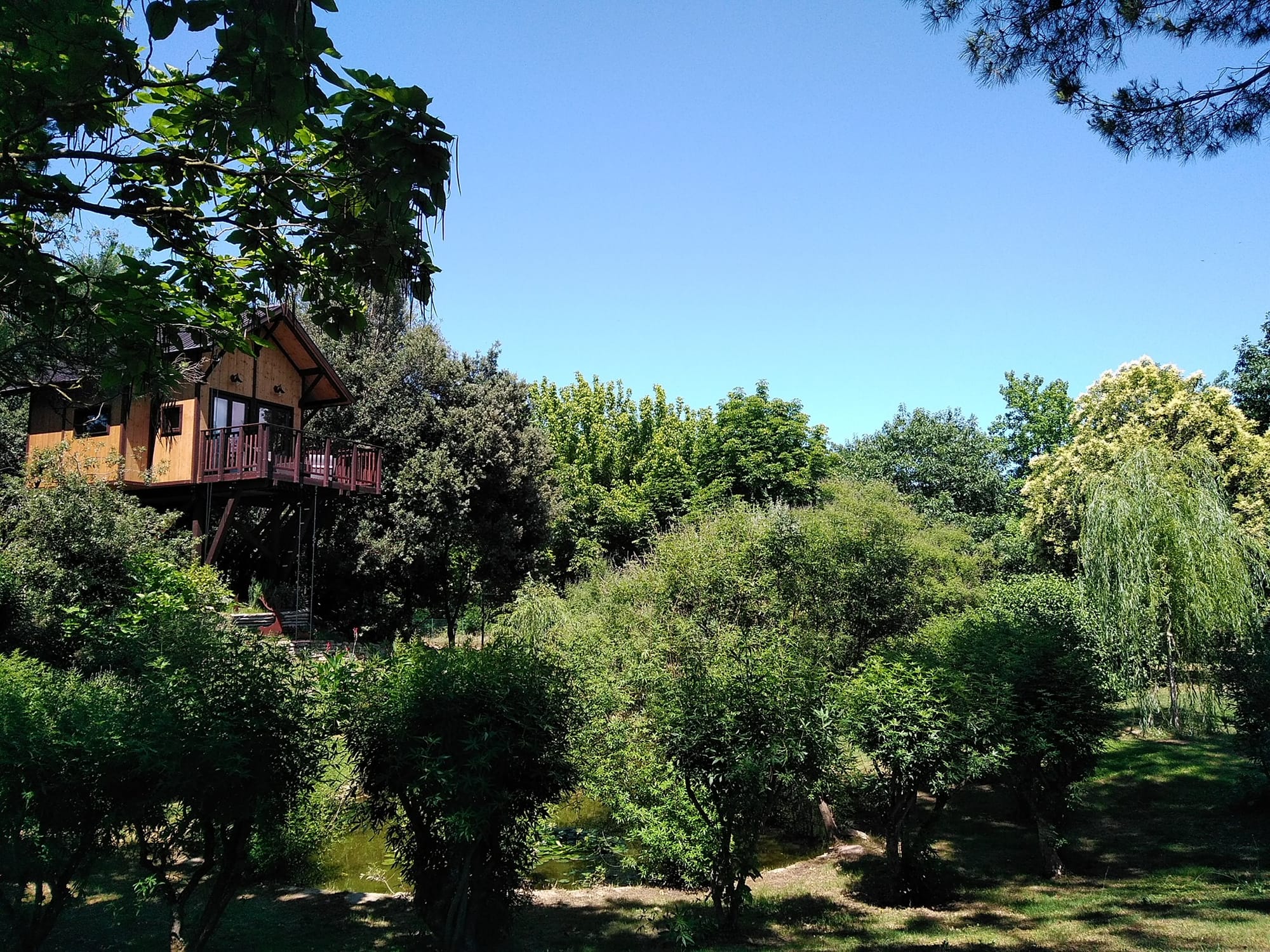 Casa sull'Albero Awen | Umbria