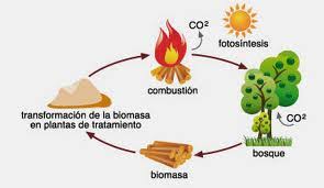 Energía de Biomasa