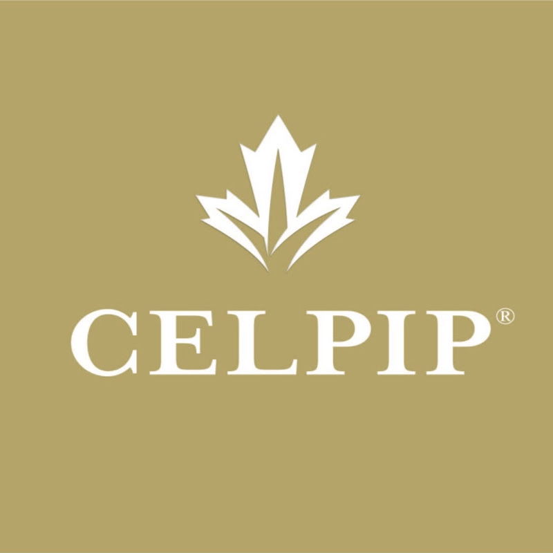 (WhatsApp: +237 670672102) Buy original CELPIP certificate online, registered CELPIP certificate for sale, buy original CELPIP certificate online without exam, CELPIP certificate without exam online, Genuine CELPIP certificate without test, buy legit CELPIP scores for Canada, get CELPIP certificate without exam in India