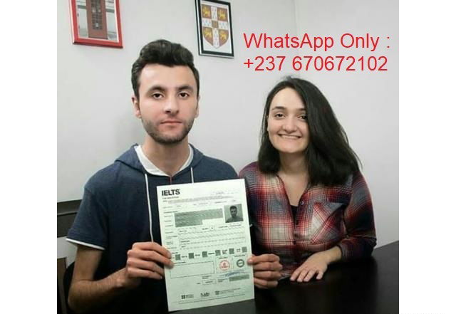 ielts.2017@yahoo.com ) #buy original ielts #certificate without exam in india, #ielts certificate without exam in #kerala, ielts certificate without #exam in #punjab, how to get #ielts certificate #without exam #in #punjab,  Registered #IELTS Certificate for sale, #Registered verified IELTS certificates #without exam, #IELTS certificate for #sale without exam, Buy #Original IELTS Certificate  UAE