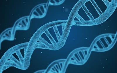 Genes and immunity image