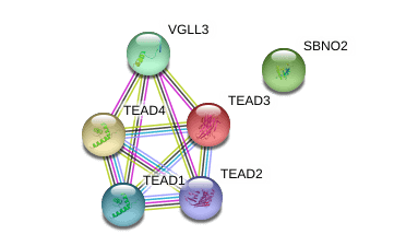 The future of autoimmune disease. image