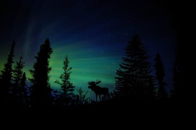 Aurora boreal en Canadá
