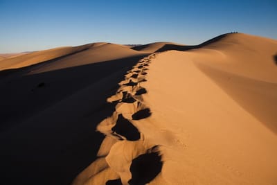 Mongolia Adventure Tours are Planned as per Your Preferences and Needs!