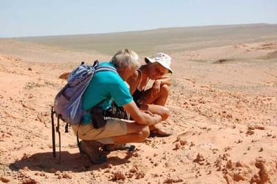 Top Reason To Look For The Impeccable  Naadam Festival Tour & Gobi tour Operator In Mongolia