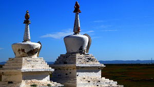 Top Reasons To Choose The Best Tour Company In Mongolia