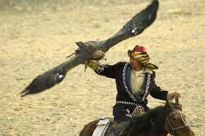 Golden Eagle Festival – Book The Right Tour And See The Beauty