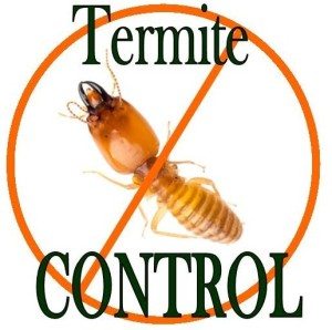 Termite Control Services