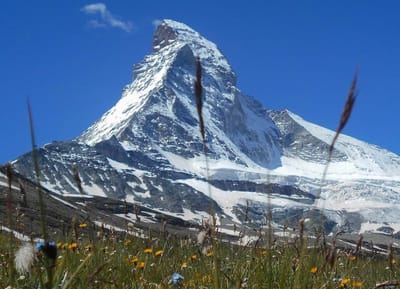 EXPERTISE DES TERRAINS