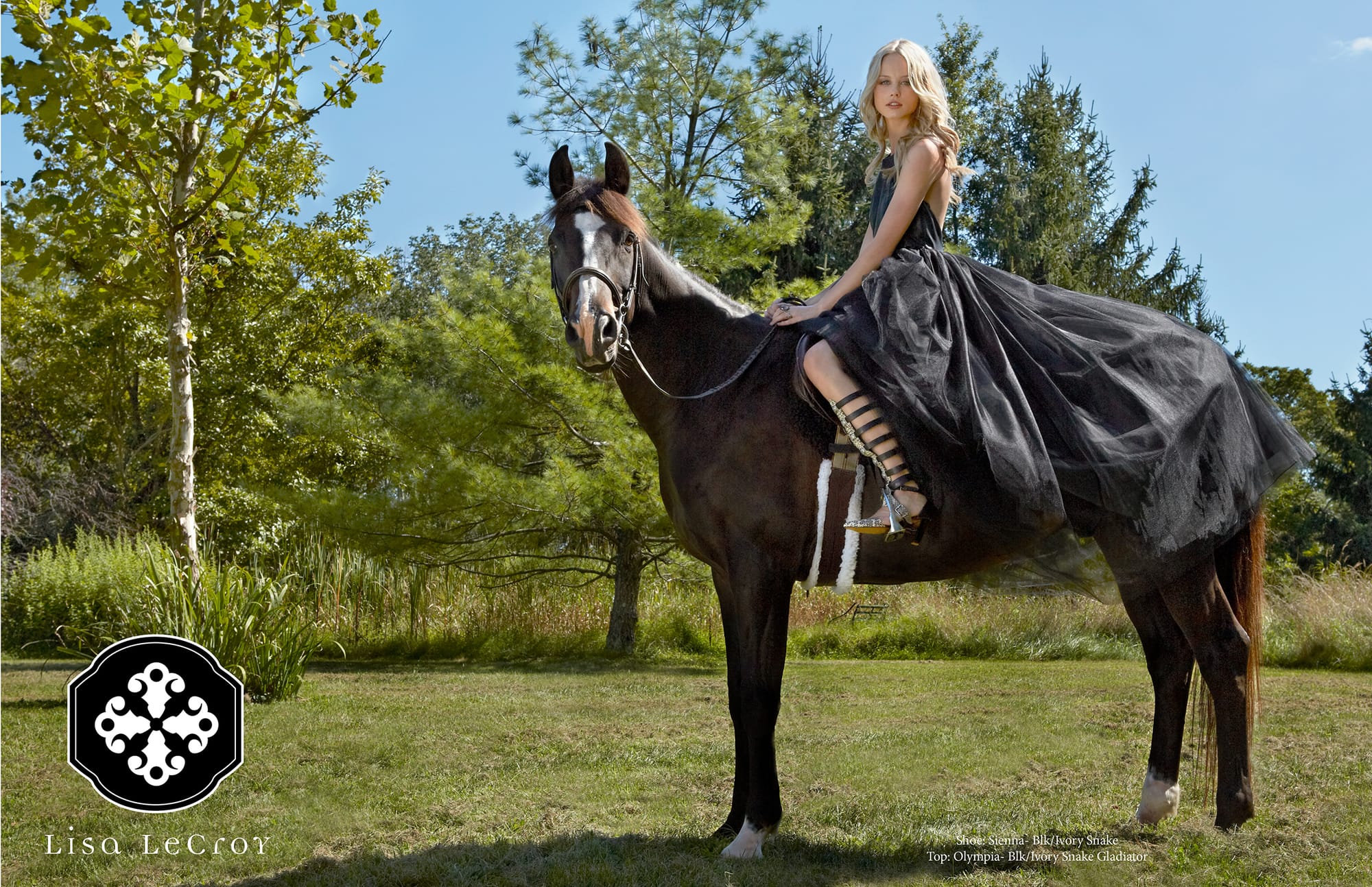 LISA LECROY SHOE LOOKBOOK