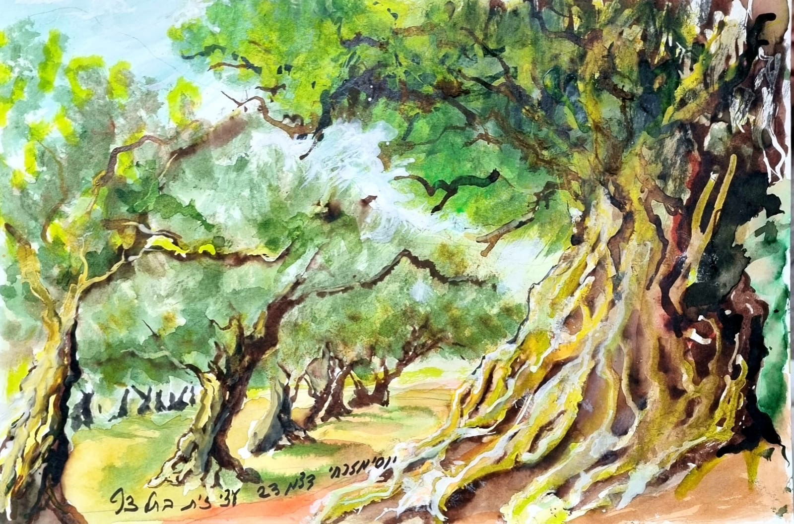 תל צף