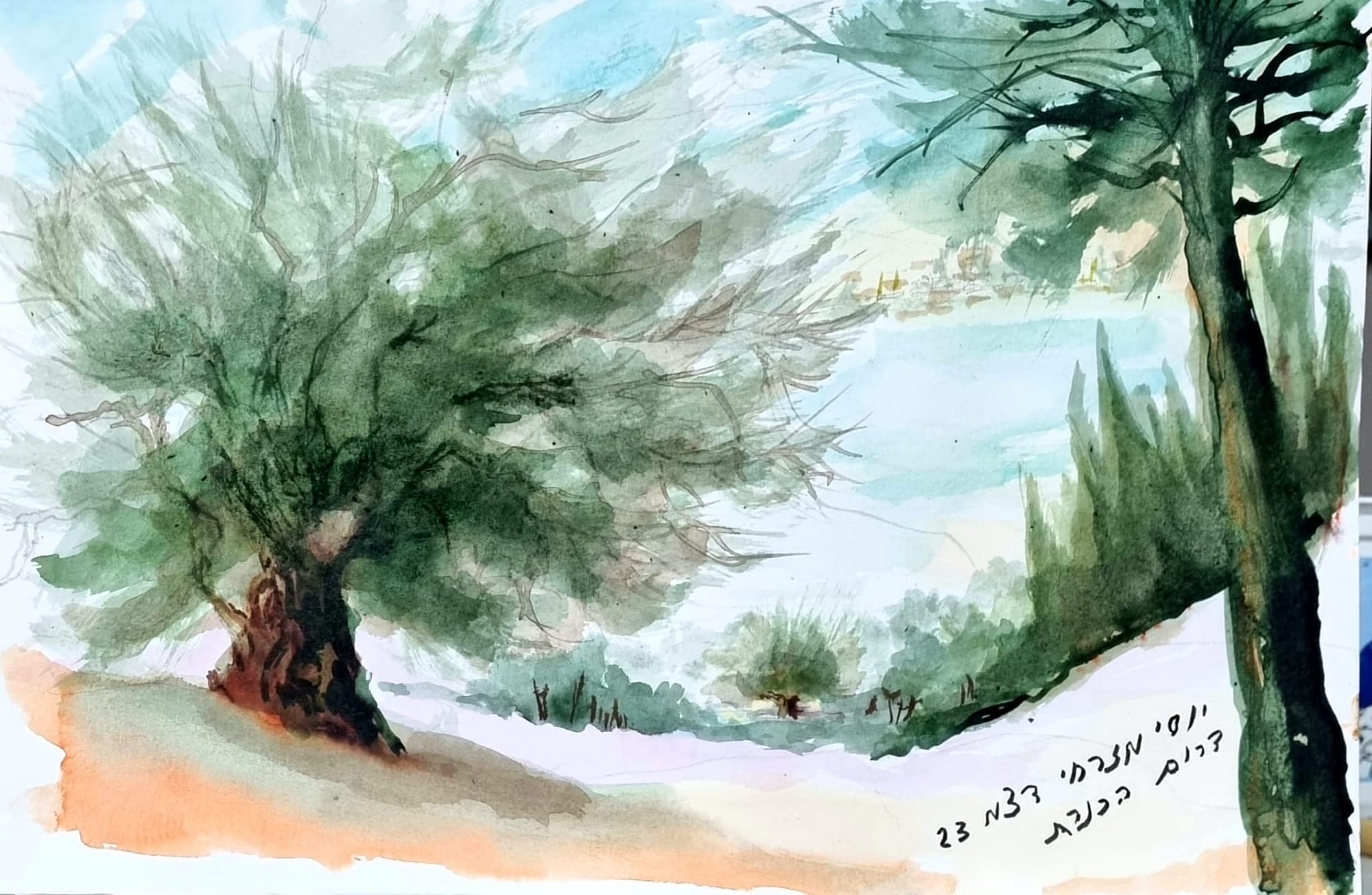 דרום הכנרת