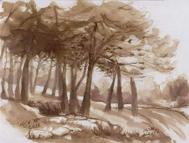 נהמת  המוזות המתעוררות