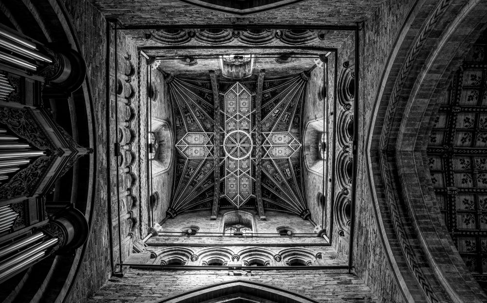 "....to view or consider with continued attention....."