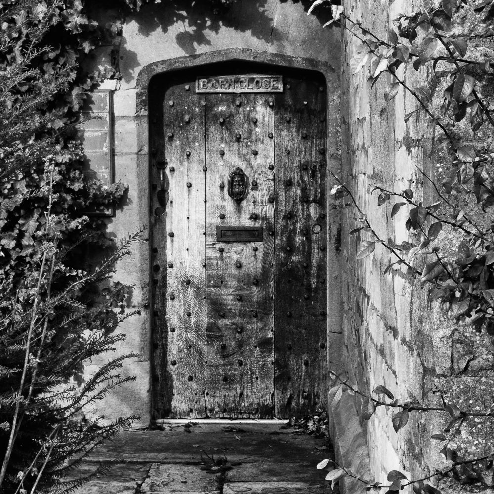 "....to view or consider with continued attention....."